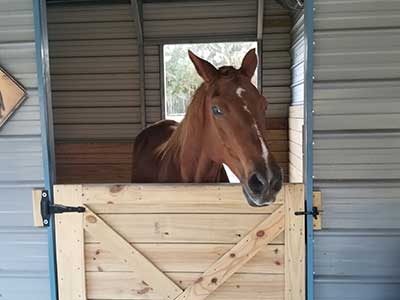 2 Stall Barn and Tackroom (Horse Stall)